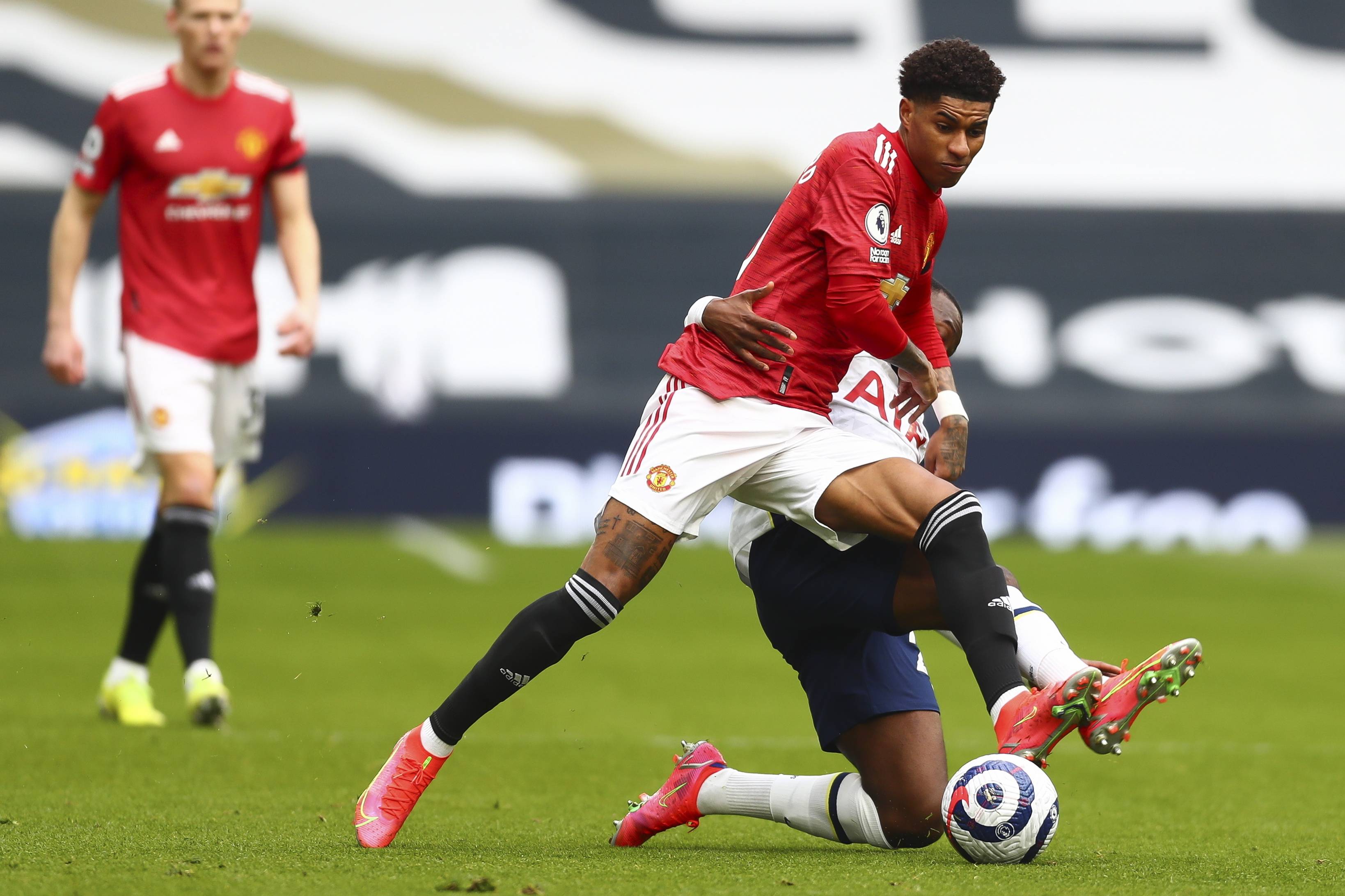 从而增强了 从而增强了